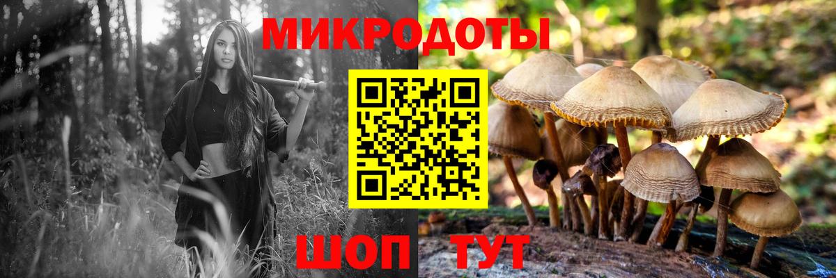 Избербаш  Галлюциногенные грибы прущие грибы  Псилоцибиновые грибы мухоморы  Вход с VPN 